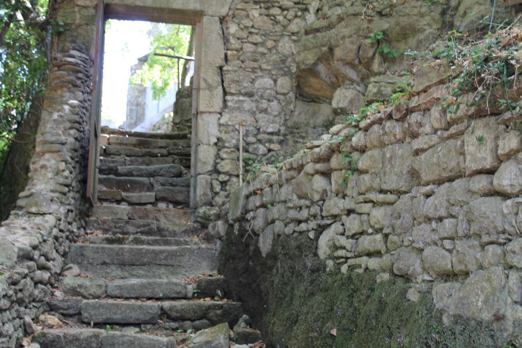 L'Ecrin D'Osely Bed and Breakfast Lodève Buitenkant foto