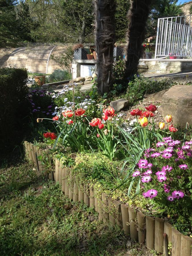 L'Ecrin D'Osely Bed and Breakfast Lodève Buitenkant foto